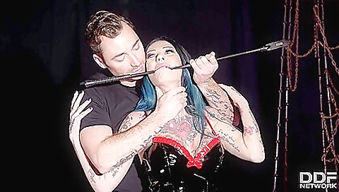 Shemal bras for all holes warns